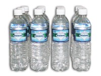 Água Mineral Garrafa 300 ml